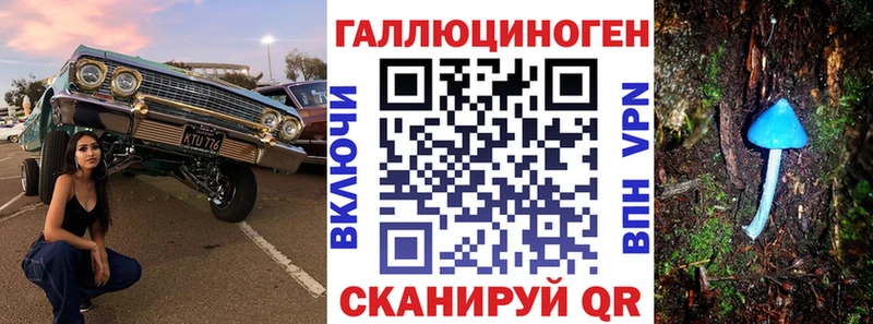 Псилоцибиновые грибы Psilocybine cubensis  Купить  Кондопога 