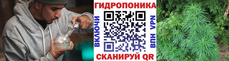 Купить Кондопога Шишки марихуана семена